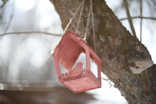 Close-up of a bird feeder on a tree under the snow in the forest