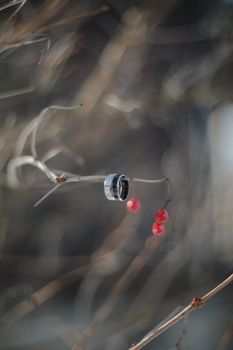 wedding photography. Two wedding rings on a tree branch with blurred background. Love, Wedding, Marriage, Proposal concept.