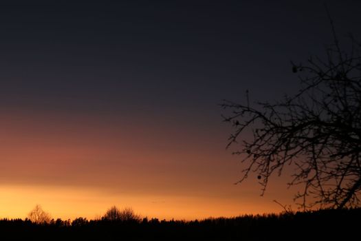 Real amazing panoramic sunrise or sunset sky with colorful clouds. Gradient color. Sky texture, abstract nature background.