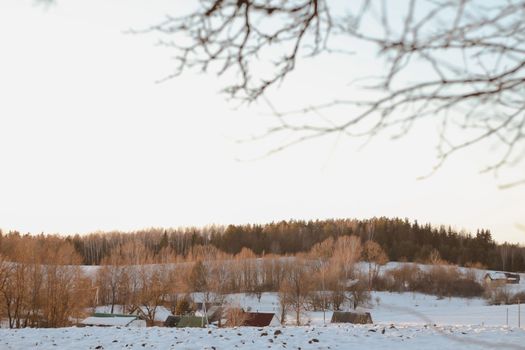 Rural beautiful winter landscape. Non-urban scene. New Year, Christmas. Copy space. Picturesque view of countryside on a frosty winter day