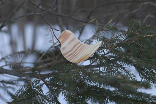 Conifer closeup background. Winter landscape. Wooden handmade toy bird on the fir tree branch on a winter day. Hello Spring concept. Fir branch on a winter day