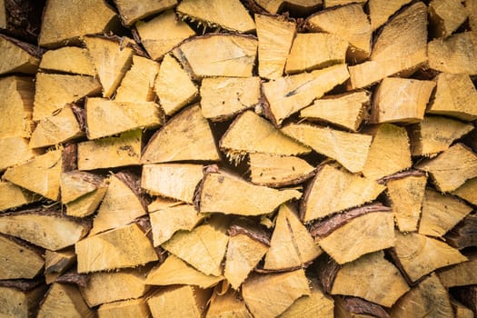 Closeup of logs of trees in nature. A lot of cutted logs. top view, flat lay