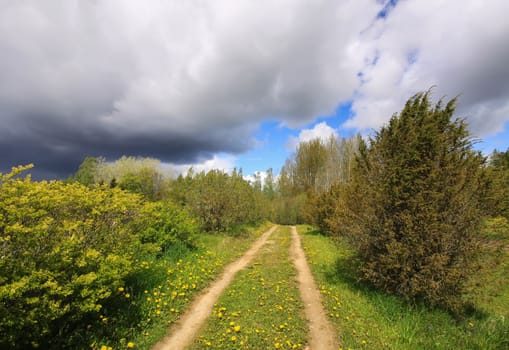 Beautiful spring scenic landscape with dandelion flowers growing on footpath in countryside. Dark sky before the storm.