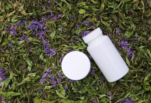 White plastic containers on dried flowers of the Blooming sally, Epilobium angustifolium plant, Fireweed or Rosebay Willowherb.