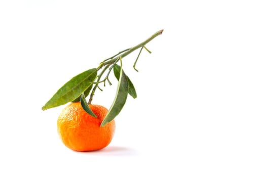 Orange fruit with green leaves on white background.