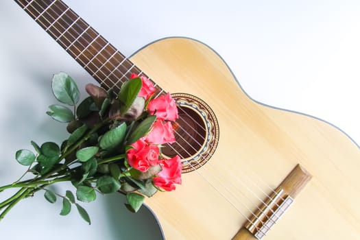 Classic guitar and red roses on white background.