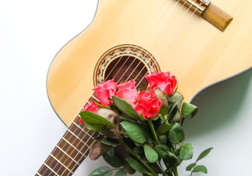 Classic guitar and red roses on white background.