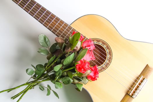 Classic guitar and red roses on white background.