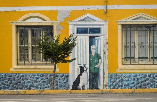 Punta Arenas, Chile - 27 January 2023: Wall mural of vet's office on bulding wall by seafront