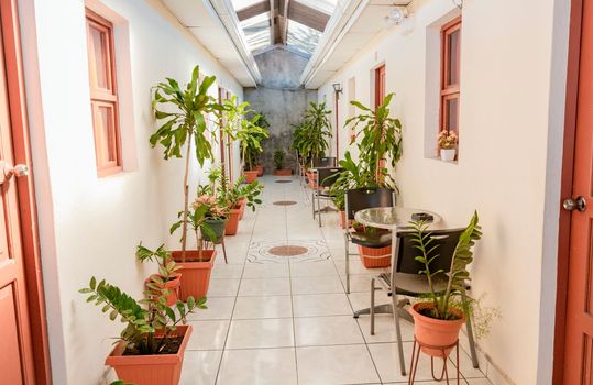 Corridors of a tropical hotel. A hotel corridor with pots of natural plants