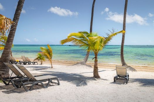 Tropical beach in caribbean sea, idyllic Saona island, Punta Cana, Dominican Republic