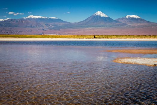 Licancabur and Peaceful reflection lake with dramatic volcanic landscape at Sunset, Atacama Desert, Chile