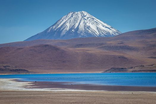 Salt lake Laguna Miscanti, and idyllic volcanic landscape at sunrise, Atacama desert, Chile border with Bolivia