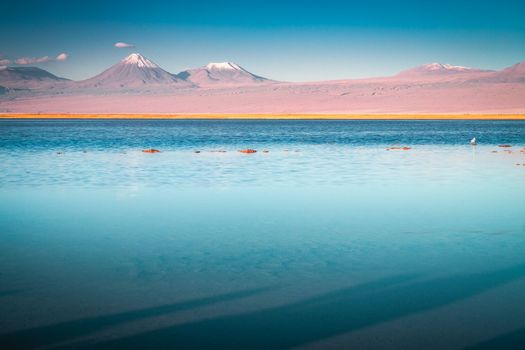 Licancabur and Peaceful reflection lake with dramatic volcanic landscape at Sunset, Atacama Desert, Chile