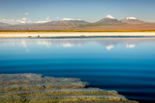 Licancabur and Peaceful reflection lake with dramatic volcanic landscape at Sunset, Atacama Desert, Chile