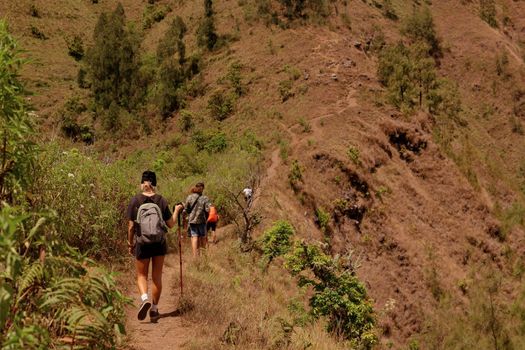 a group of people walking on the trek. bali