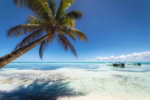 Boats and tropical beach in caribbean sea, idyllic Saona island, Punta Cana, Dominican Republic