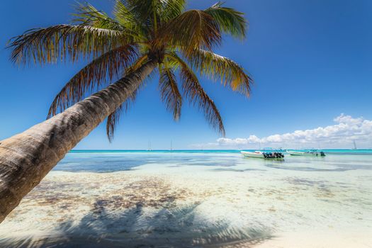 Boats and tropical beach in caribbean sea, idyllic Saona island, Punta Cana, Dominican Republic