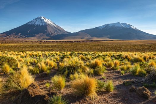 Licancabur and Peaceful dramatic volcanic landscape at Sunset, Atacama Desert, Chile