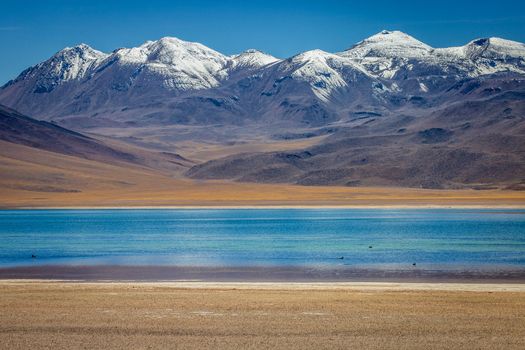 Salt lake Laguna Miscanti, and idyllic volcanic landscape at sunrise, Atacama desert, Chile border with Bolivia