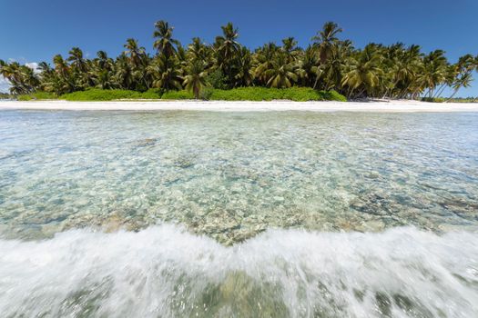 Tropical beach in caribbean sea, idyllic Saona island, Punta Cana, Dominican Republic