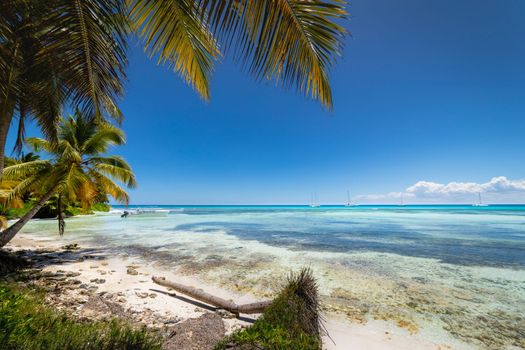 Boats and tropical beach in caribbean sea, idyllic Saona island, Punta Cana, Dominican Republic