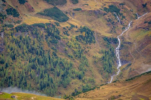 Hohe Tauern pine woodland and waterfall from above dramatic Grossglockner road at dawn, Austria