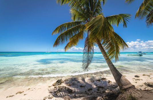 Boat and tropical beach in caribbean sea, idyllic Saona island, Punta Cana, Dominican Republic