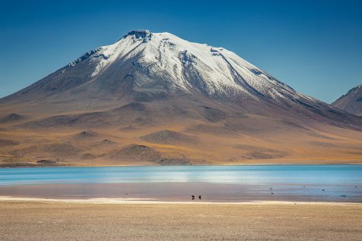 Salt lake Laguna Miscanti, and idyllic volcanic landscape at sunrise, Atacama desert, Chile border with Bolivia