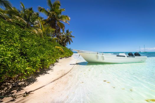 Boat and tropical beach in caribbean sea, idyllic Saona island, Punta Cana, Dominican Republic