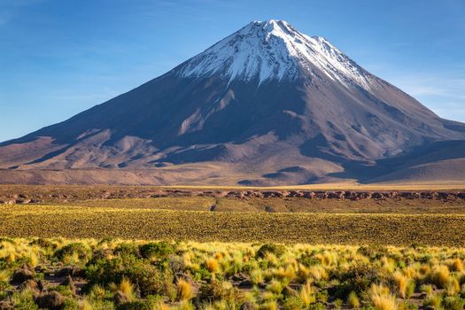 Licancabur and Peaceful dramatic volcanic landscape at Sunset, Atacama Desert, Chile