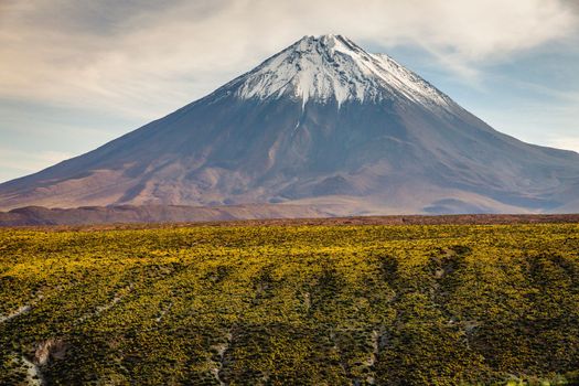 Licancabur and Peaceful dramatic volcanic landscape at Sunset, Atacama Desert, Chile