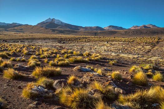 Atacama Desert dramatic volcanic landscape at Sunset, Northern Chile, South America