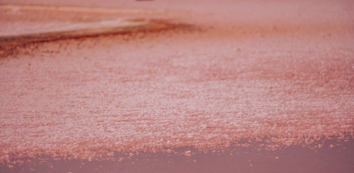 Salt mining. Salty pink lake with crystals of salt. Extremely salty pink lake, colored by microalgae with crystalline salt depositions