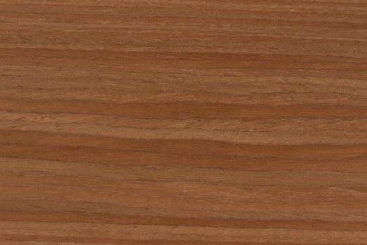 Cherry wood texture. Qualitative texture of wild cherry wood. Manufacture of furniture or interior elements from rare wood species, cherry wood veneer with a horizontal pattern