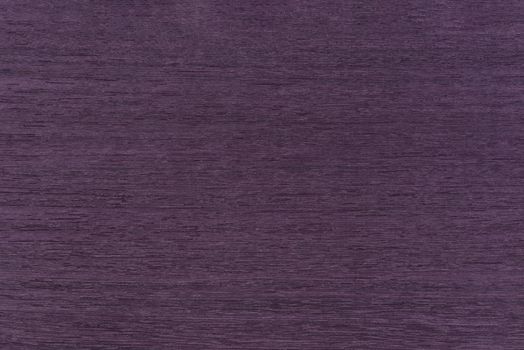Wood texture with purple tint, koto wood texture. Veneer of rare exotic koto wood for the production of exclusive furniture.
