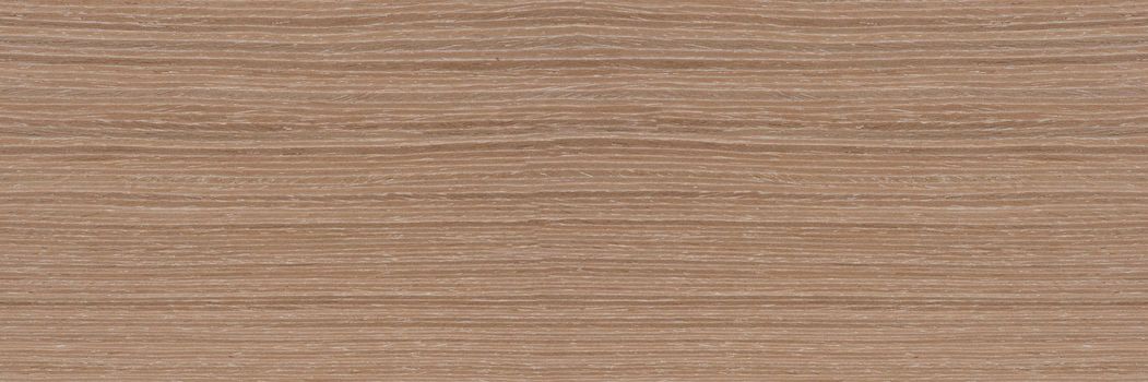 Natural oak texture. Wood texture. Oak board for furniture production. Untreated plank of young oak with fine texture in light color.