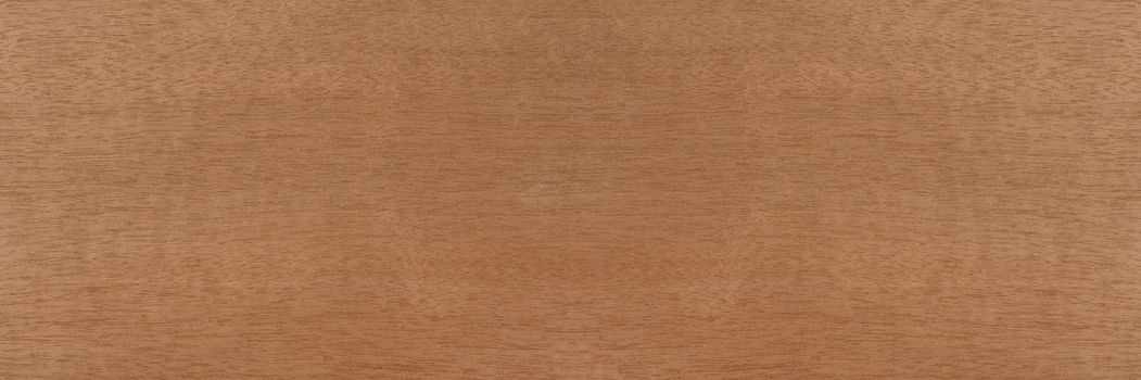 Wood with fine horizontal texture. Anigre wood texture with a reddish brown tint. Exotic wood from Africa for the production of plywood, furniture or interior elements.