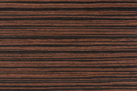 Macassar wood texture. High quality red and brown macassar wood plank surface texture. The texture of hard and heavy wood, with a beautiful surface for the production of furniture or flooring.