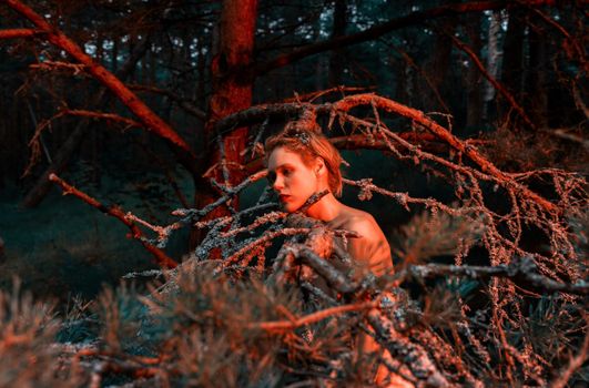 A young nude woman poses in a pine forest among old pines and dry branches, illuminated by the red rays of the setting sun. Nude art image