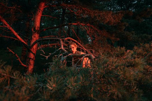 A young nude woman poses in a pine forest among old pines and dry branches, illuminated by the red rays of the setting sun. Nude art image