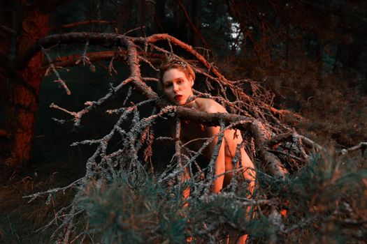 A young nude woman poses in a pine forest among old pines and dry branches, illuminated by the red rays of the setting sun. Nude art image