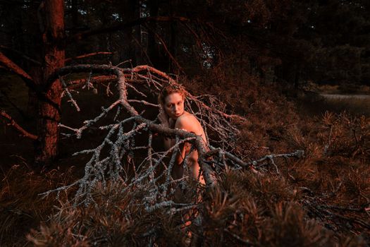 A young nude woman poses in a pine forest among old pines and dry branches, illuminated by the red rays of the setting sun. Nude art image