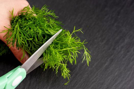 kitchen scissors cutting dill in the kitchen on a cutting board in the kitchen. Close-up of kitchen accessories. cooking. Fresh greens. Healthy eating.