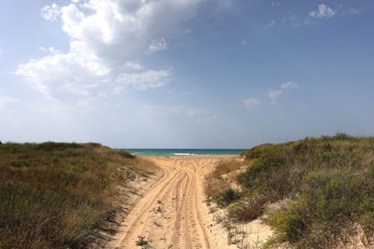 Sea access to the beach. Wide access to the beach with sand and grass.