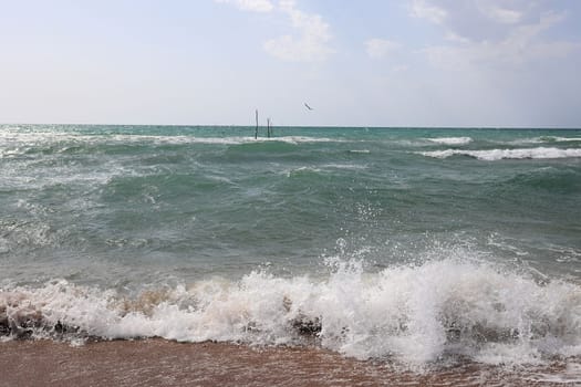 waves break on the sandy shore with splashes. The sticks holding the fishing nets stick out of the water. A seagull flies in the distance.