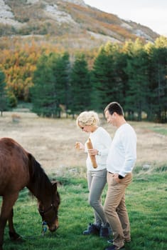 Man stands next to woman with a baguette in her hands near a horse on the lawn. High quality photo