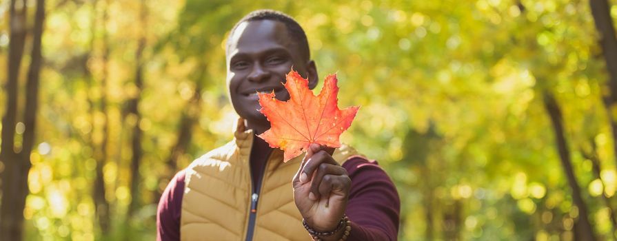 Close up portrait of african american man gives autumn maple leaf. Autumn nature. Seasonal fashion.