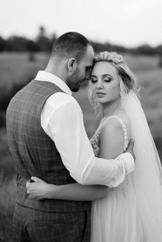 bride blonde girl and groom in a field at sunset light