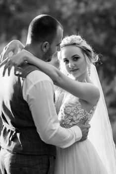 the groom and the bride are walking in the forest on a bright day